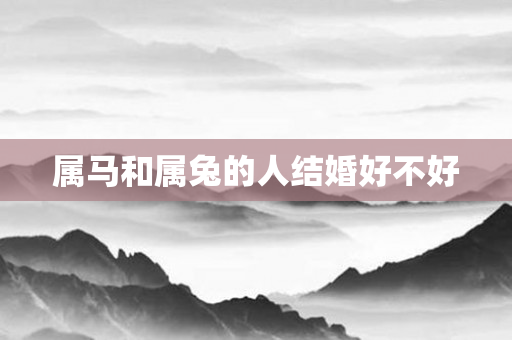 属马和属兔的人结婚好不好
