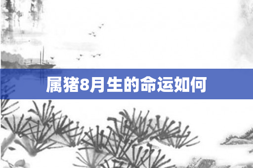 属猪8月生的命运如何