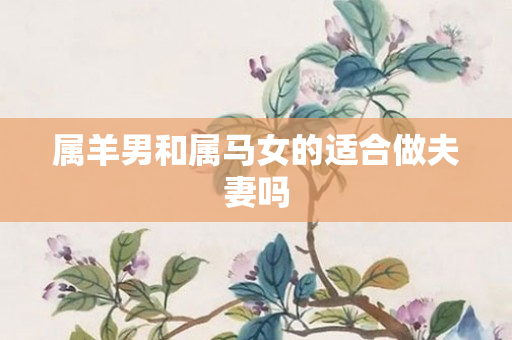 属羊男和属马女的适合做夫妻吗