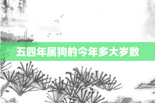 五四年属狗的今年多大岁数