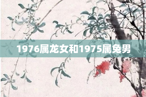 1976属龙女和1975属兔男