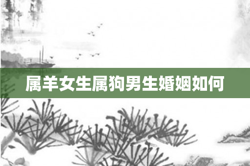 属羊女生属狗男生婚姻如何