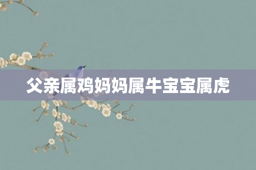 父亲属鸡妈妈属牛宝宝属虎