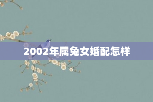2002年属兔女婚配怎样