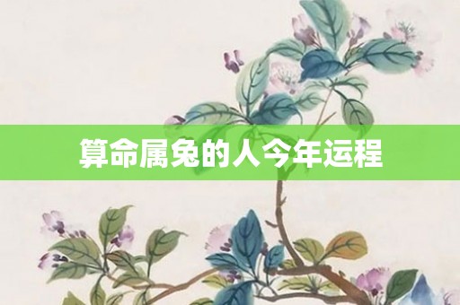 算命属兔的人今年运程