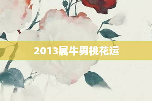 2013属牛男桃花运