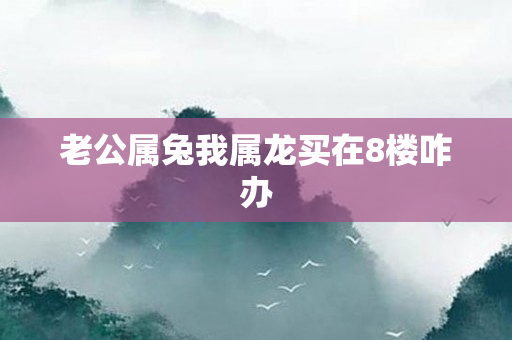 老公属兔我属龙买在8楼咋办