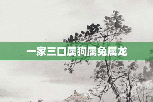 一家三口属狗属兔属龙
