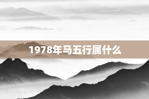 1978年马五行属什么