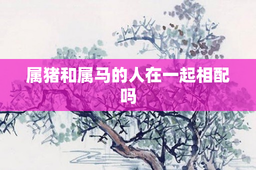 属猪和属马的人在一起相配吗