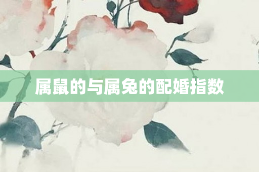 属鼠的与属兔的配婚指数