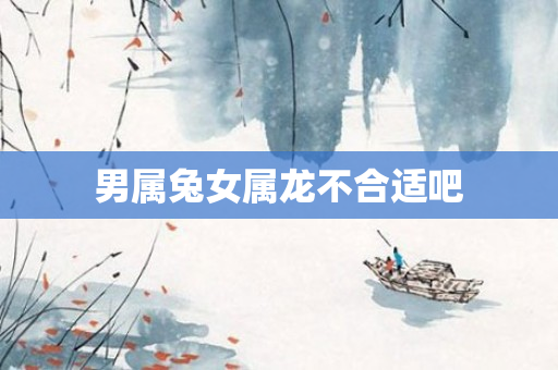 男属兔女属龙不合适吧
