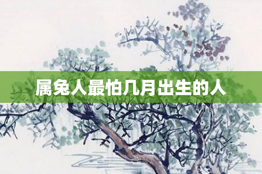 属兔人最怕几月出生的人