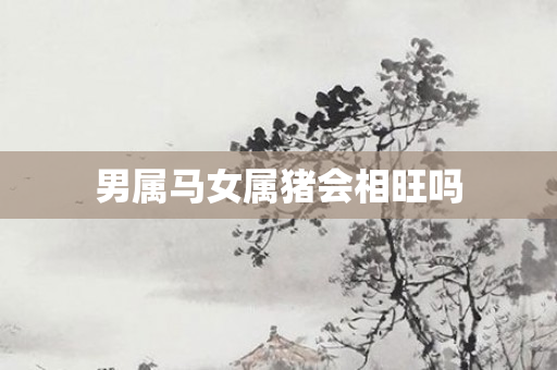男属马女属猪会相旺吗