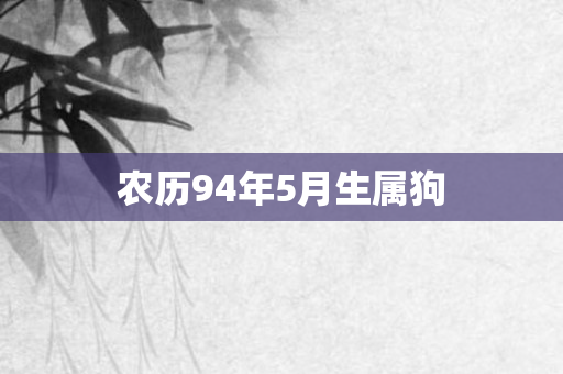 农历94年5月生属狗