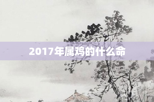 2017年属鸡的什么命