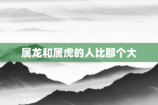 属龙和属虎的人比那个大