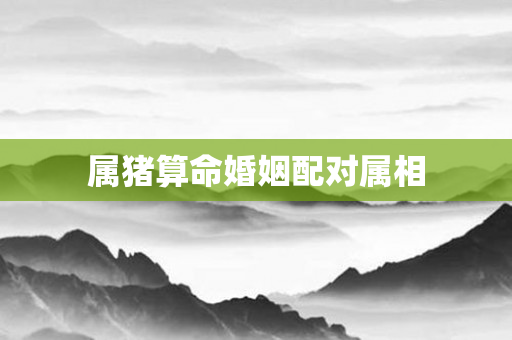 属猪算命婚姻配对属相