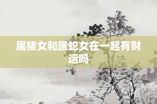 属猪女和属蛇女在一起有财运吗
