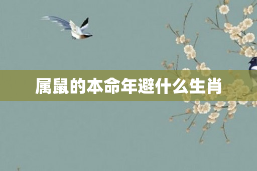 属鼠的本命年避什么生肖
