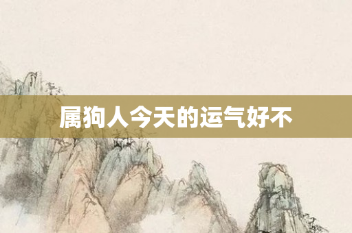 属狗人今天的运气好不
