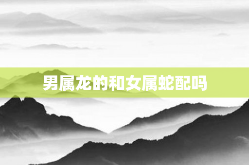 男属龙的和女属蛇配吗