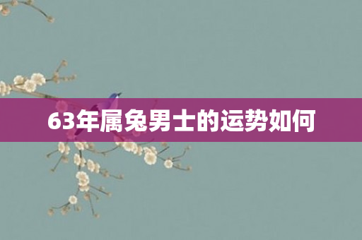 63年属兔男士的运势如何