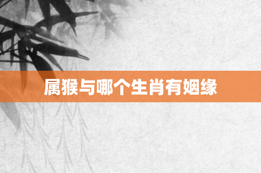 属猴与哪个生肖有姻缘