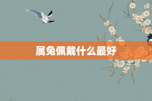 属兔佩戴什么更好