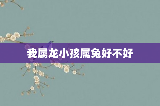 我属龙小孩属兔好不好