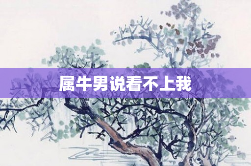 属牛男说看不上我