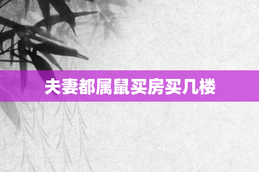 夫妻都属鼠买房买几楼