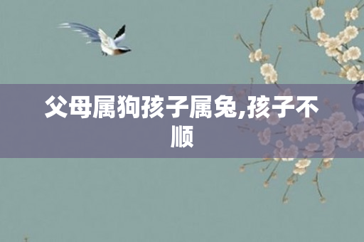 父母属狗孩子属兔,孩子不顺