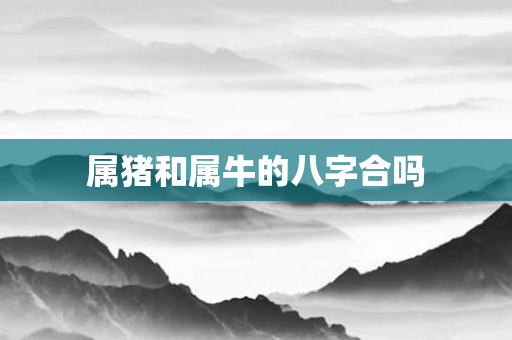属猪和属牛的八字合吗