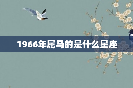 1966年属马的是什么星座