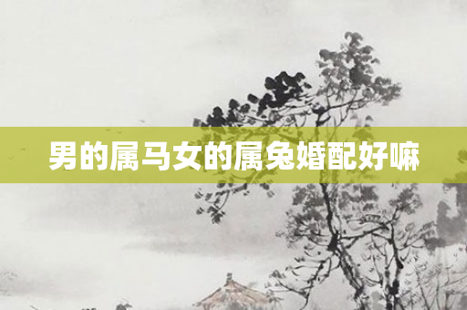 男的属马女的属兔婚配好嘛