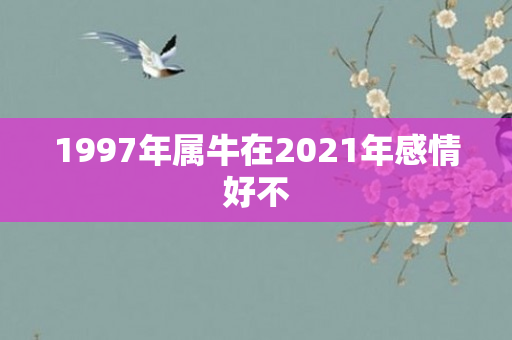1997年属牛在2021年感情好不