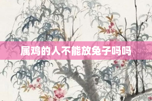 属鸡的人不能放兔子吗吗
