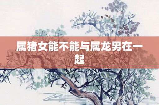 属猪女能不能与属龙男在一起
