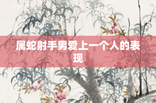 属蛇射手男爱上一个人的表现