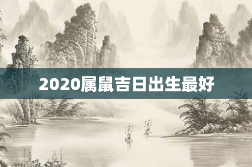 2020属鼠吉日出生更好