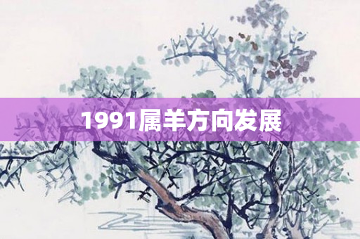 1991属羊方向发展