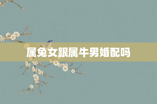 属兔女跟属牛男婚配吗