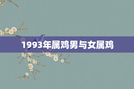 1993年属鸡男与女属鸡