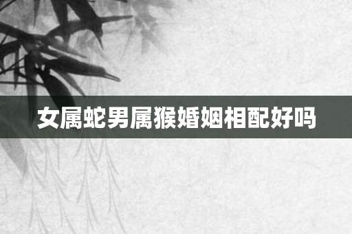 女属蛇男属猴婚姻相配好吗