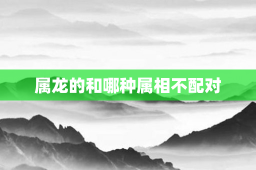 属龙的和哪种属相不配对