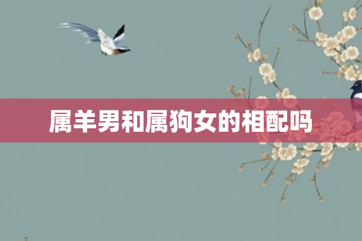 属羊男和属狗女的相配吗