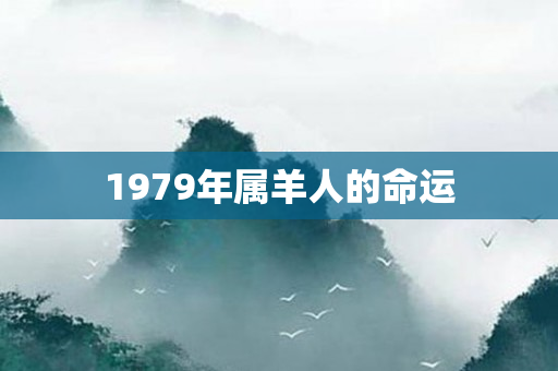 1979年属羊人的命运
