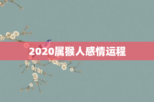 2020属猴人感情运程