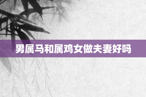 男属马和属鸡女做夫妻好吗